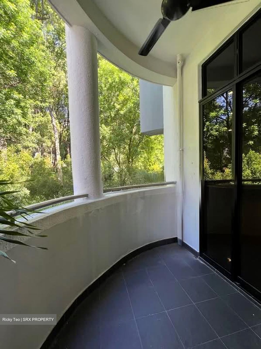 Holland Hill Park (D10), Condominium #543988251